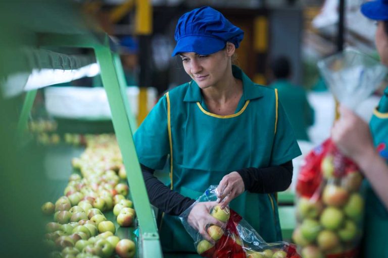 Sacos plásticos para embalagem de alimentos